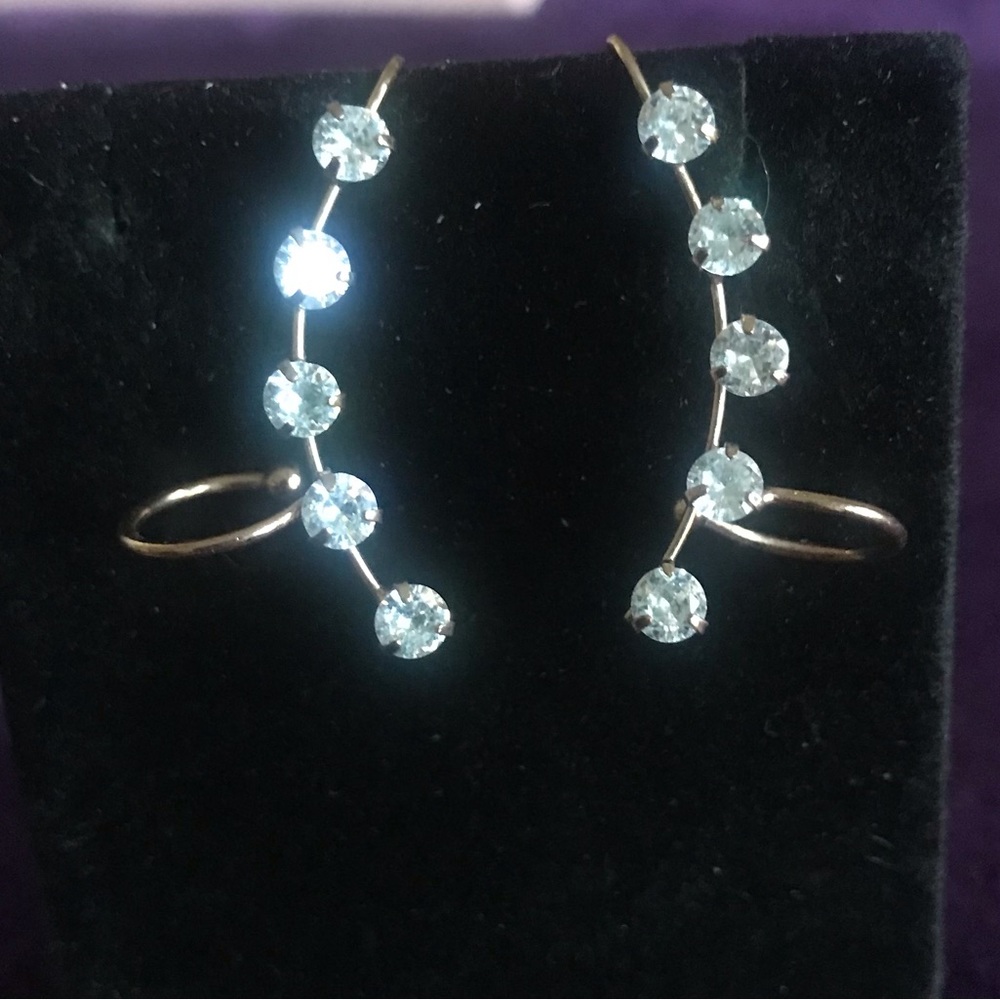 Elegant Gold and Silver Crystal Earrings